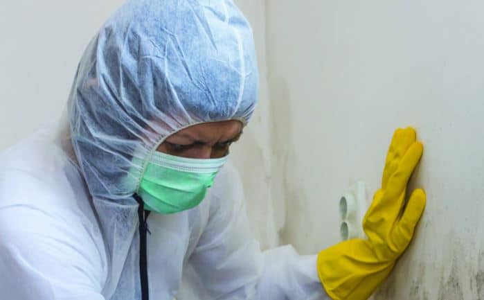 Technician in protective gear treating mold growth on a basement wall